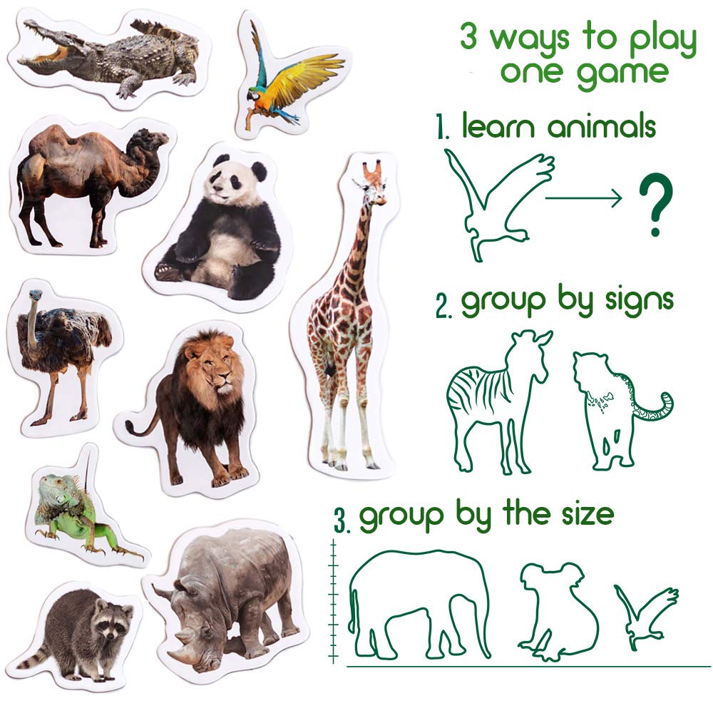 MAGDUM 19 Fridge Magnets for Toddlers – Zoo Animal Magnets for Refrigerator