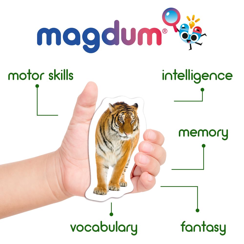 MAGDUM 19 Fridge Magnets for Toddlers – Zoo Animal Magnets for Refrigerator