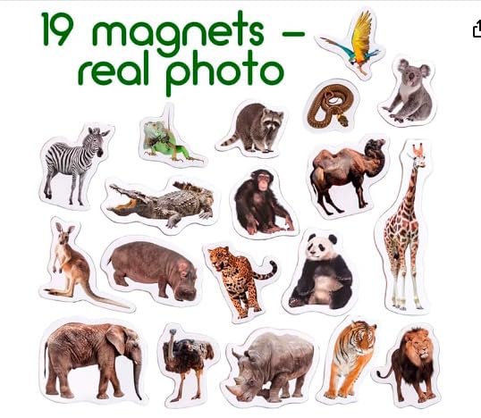 MAGDUM 19 Fridge Magnets for Toddlers – Zoo Animal Magnets for Refrigerator