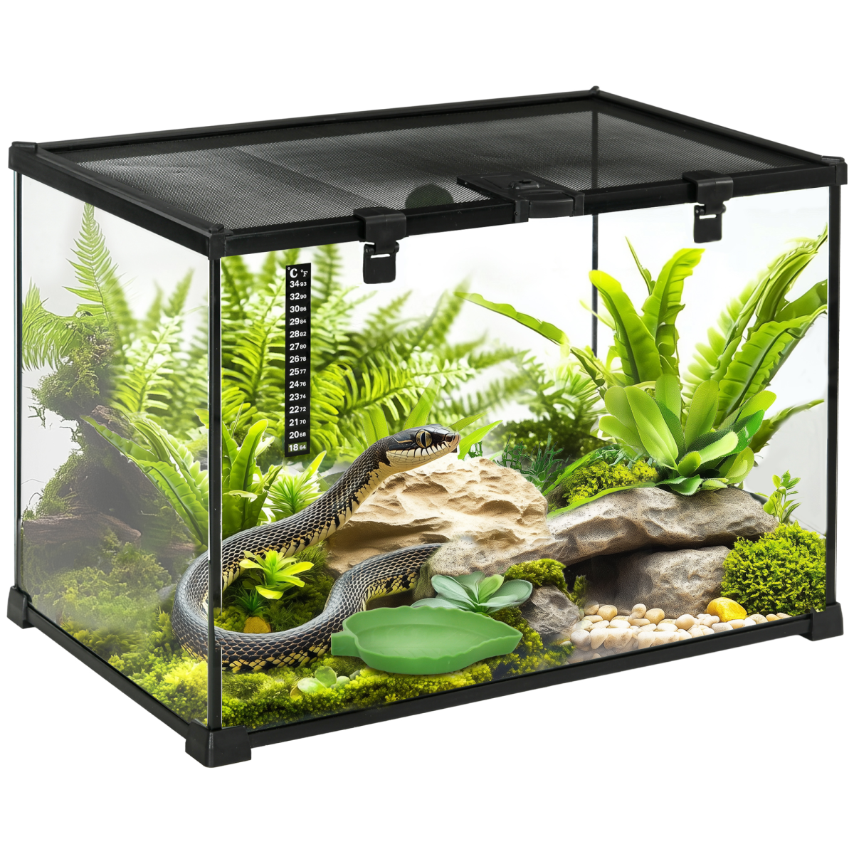 50 x 30 x 35 cm Reptile Terrarium for Lizards, Horned Frogs, Snakes, Black