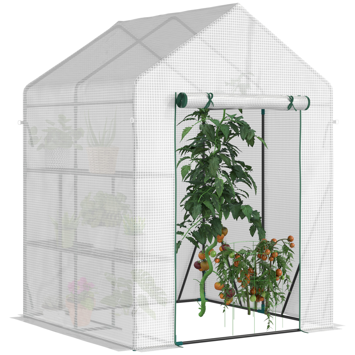 Greenhouse for Outdoor, Gardening 2 Tier Shelf, PE Cover, 143x143x195cm, Green