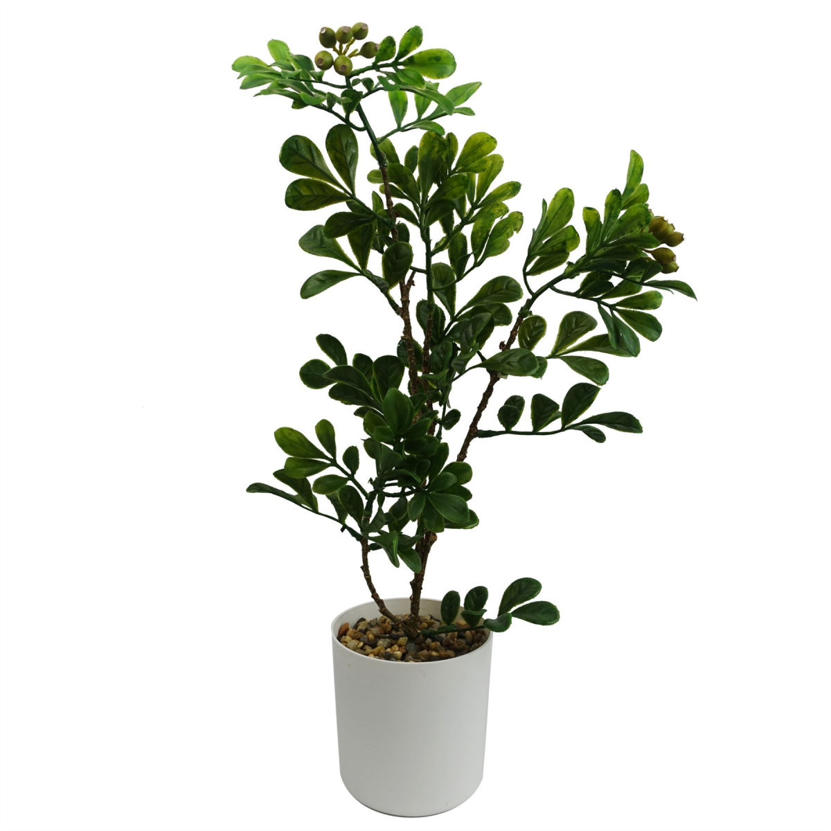 45cm Artificial Aglaia Odorata Bonsai Ficus Tree