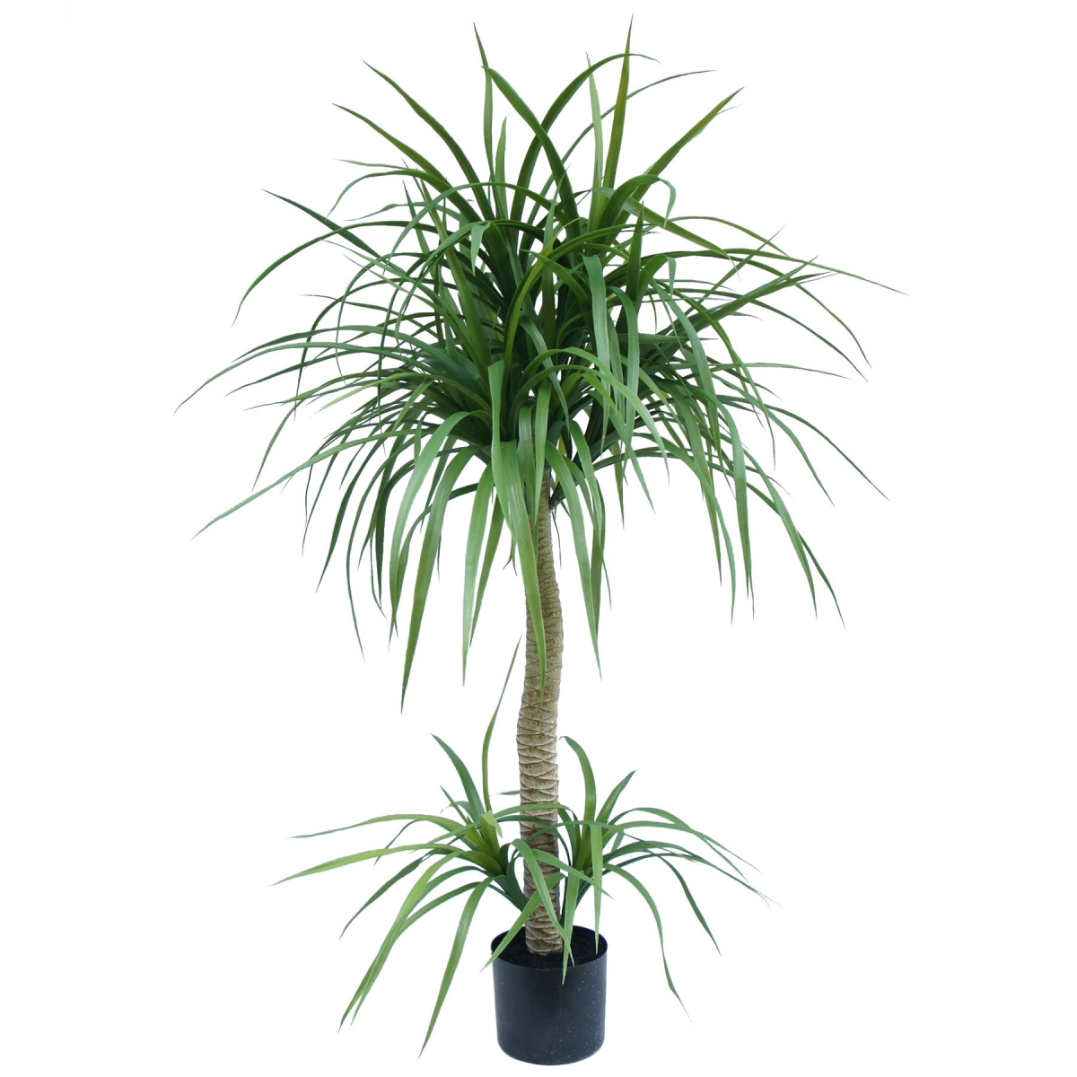 120cm Dracaena Realistic Artificial Tree