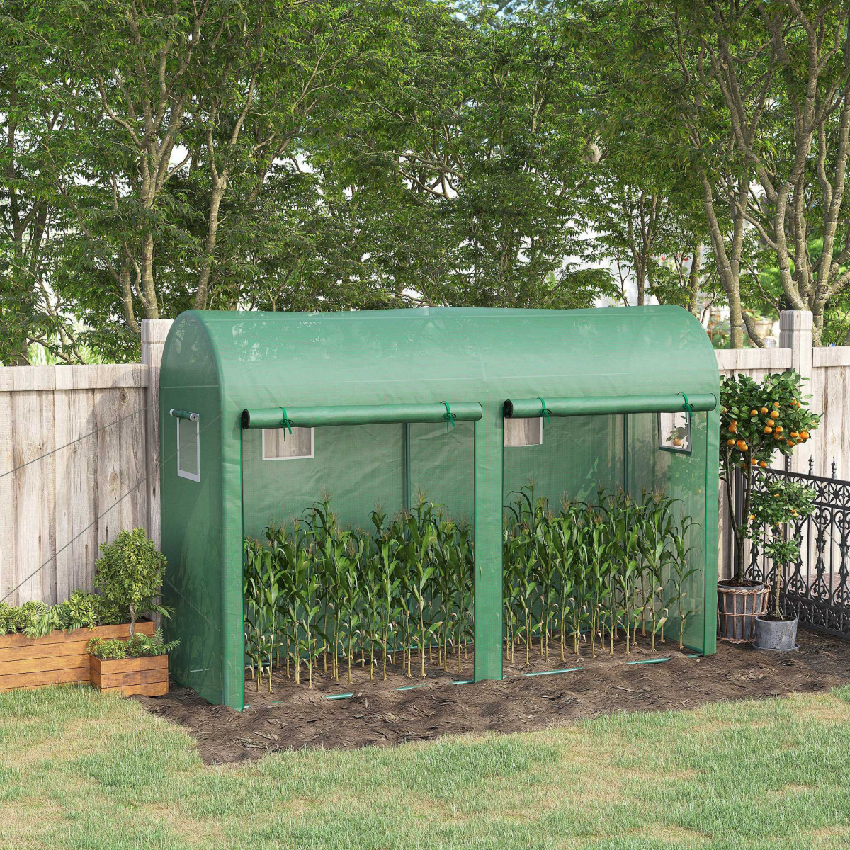 Mini Walk-in Greenhouse