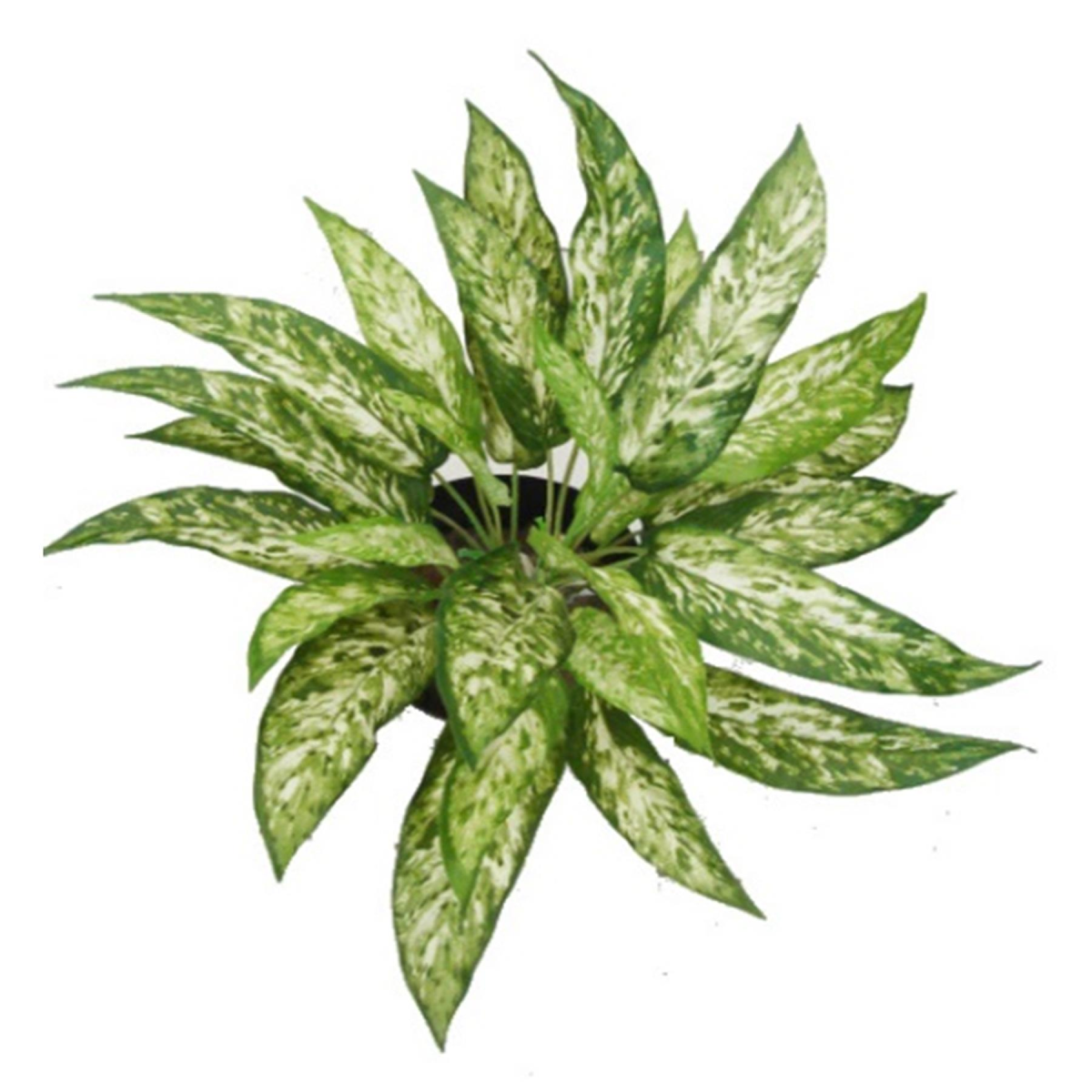 45cm Fire Retardant Artificial Aglaonema Bush