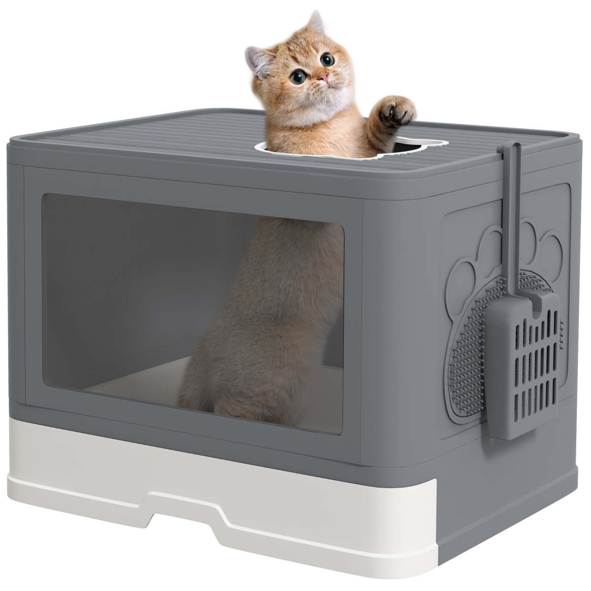 PawHut Cat Litter Tray Enclosed with Lid, Front Entry Top Exit, Scoop, Brush