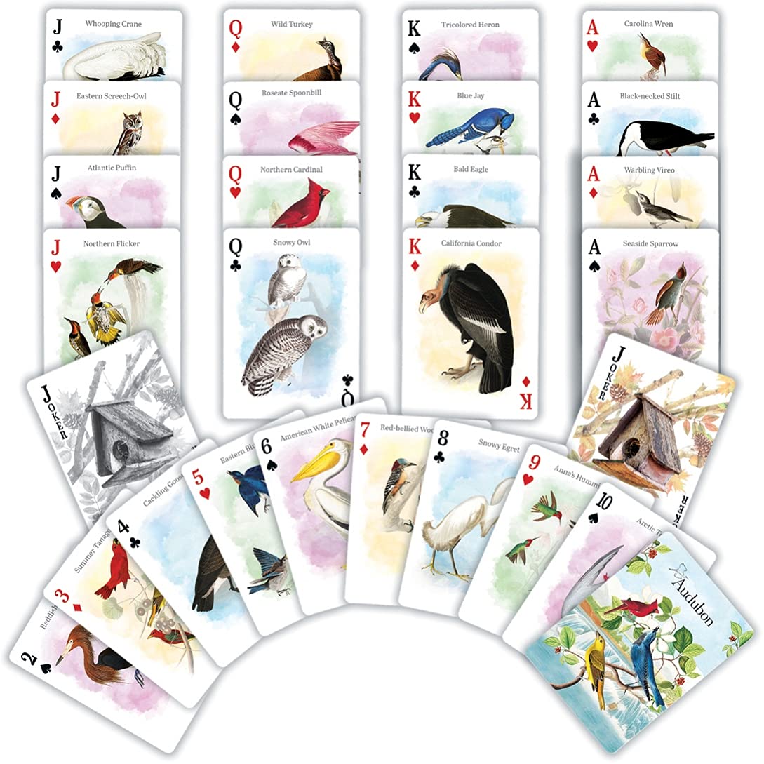 MasterPieces Audubon Playing Cards – Officially Licensed 54-Card Deck for Adults