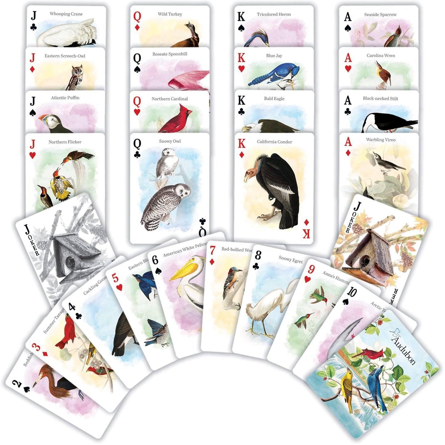 MasterPieces Audubon Playing Cards – Officially Licensed 54-Card Deck for Adults
