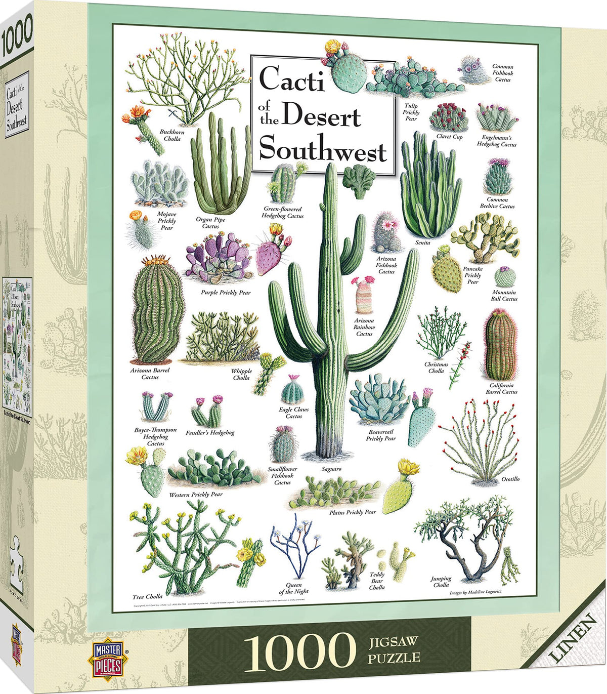 MasterPieces 1000 Piece Jigsaw Puzzle - Cacti of the Desert Southwest (19.25 x 26.75) | Linen Finish, Random Cut, Eco-Friendly