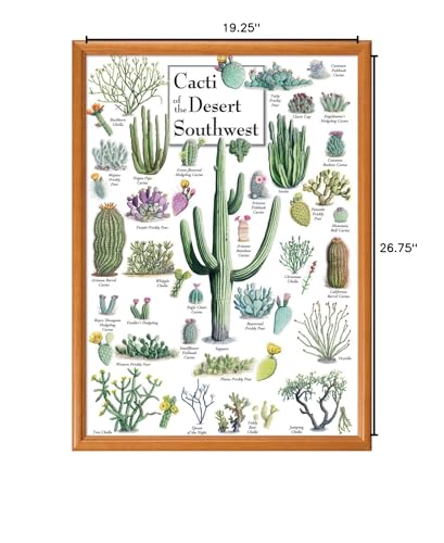 MasterPieces 1000 Piece Jigsaw Puzzle - Cacti of the Desert Southwest (19.25 x 26.75) | Linen Finish, Random Cut, Eco-Friendly