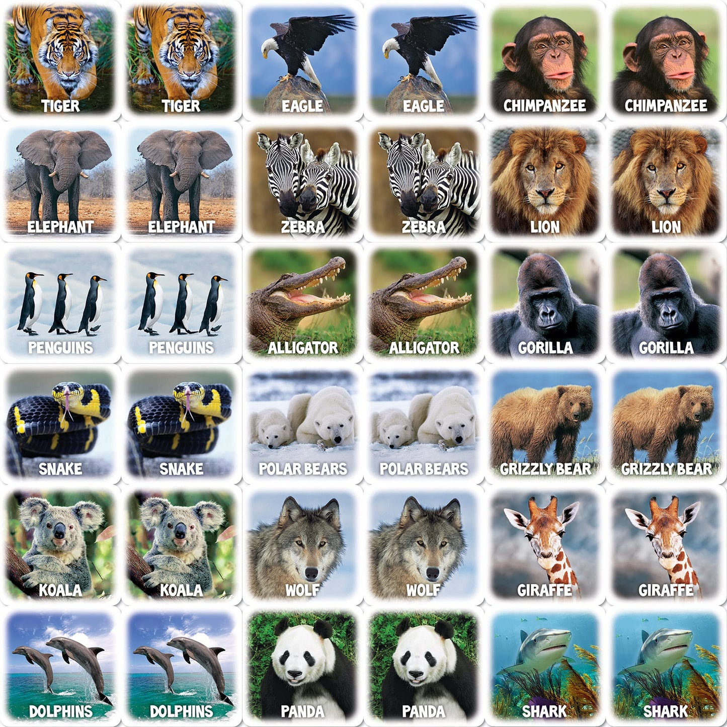 MasterPieces World of Animals Matching Game – Kids & Family Play | Laugh and Learn