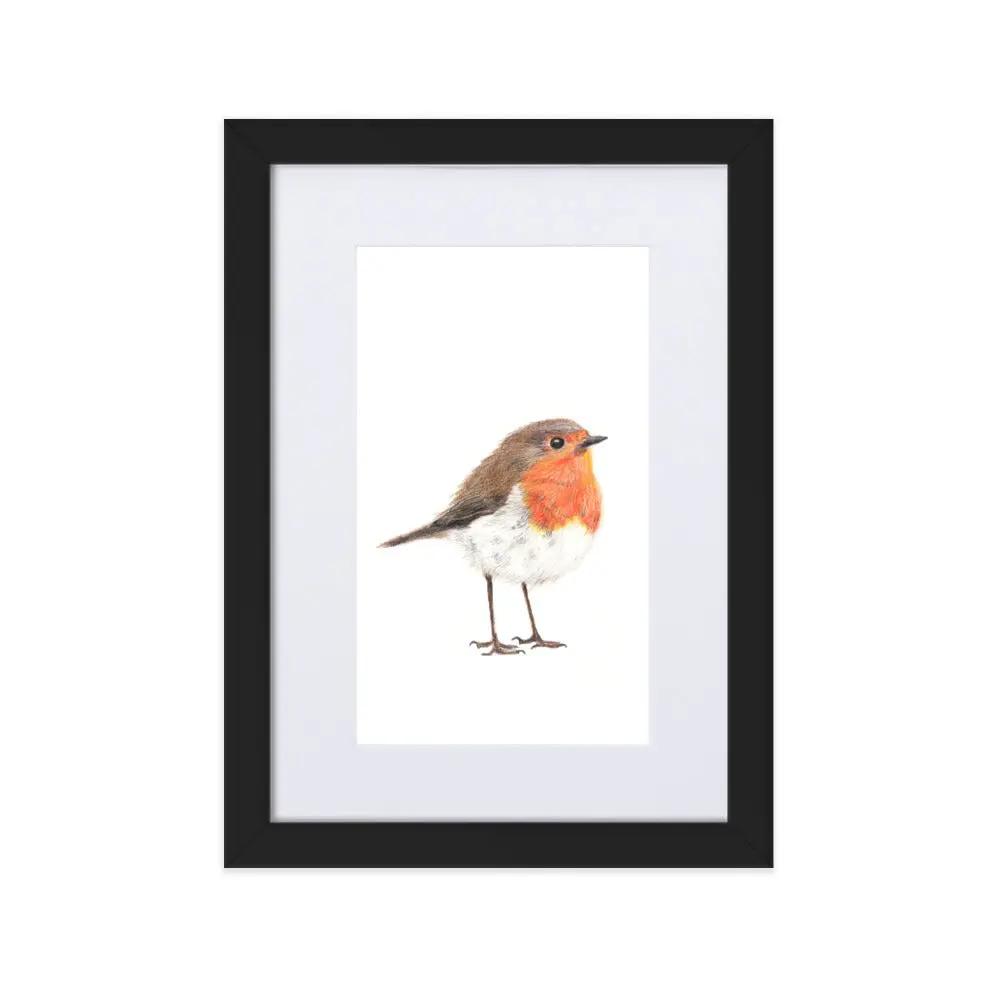 Robin Framed with Mat Artwork Print – Wildlife Wall Art (A4)