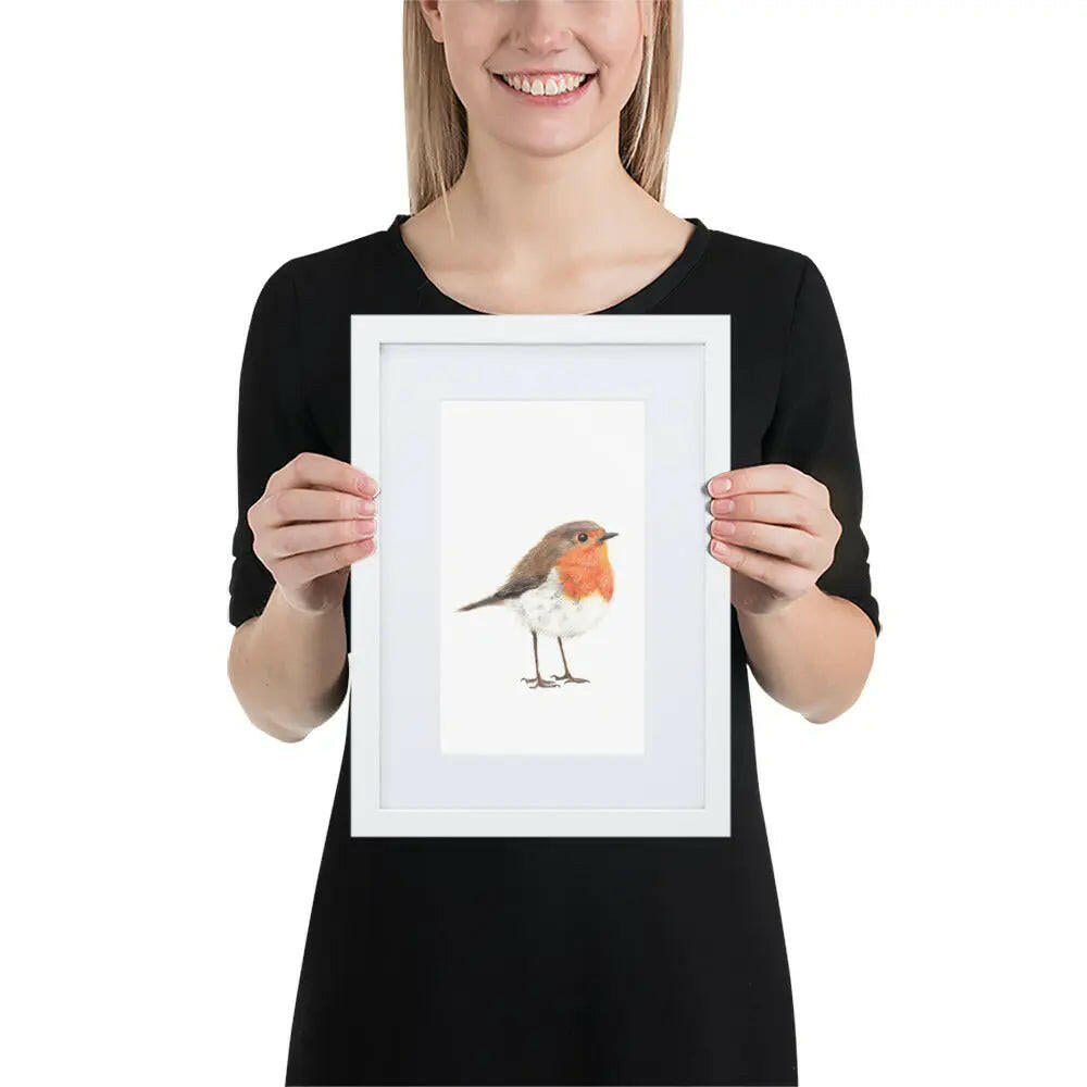 Robin Framed with Mat Artwork Print – Wildlife Wall Art (A4)