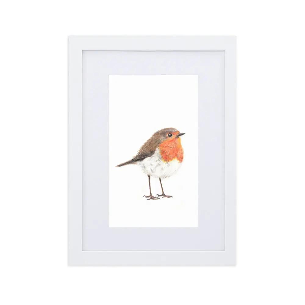 Robin Framed with Mat Artwork Print – Wildlife Wall Art (A4)