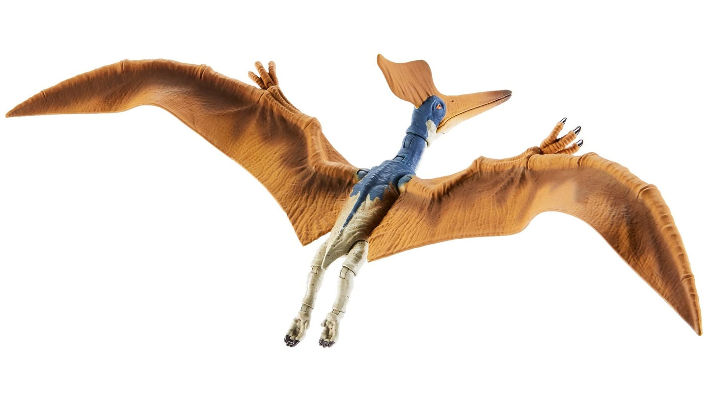 Mattel Jurassic World Hammond Collection Geosternbergia Dinosaur Figure – 14.9-Inch Wingspan, Deluxe Articulation