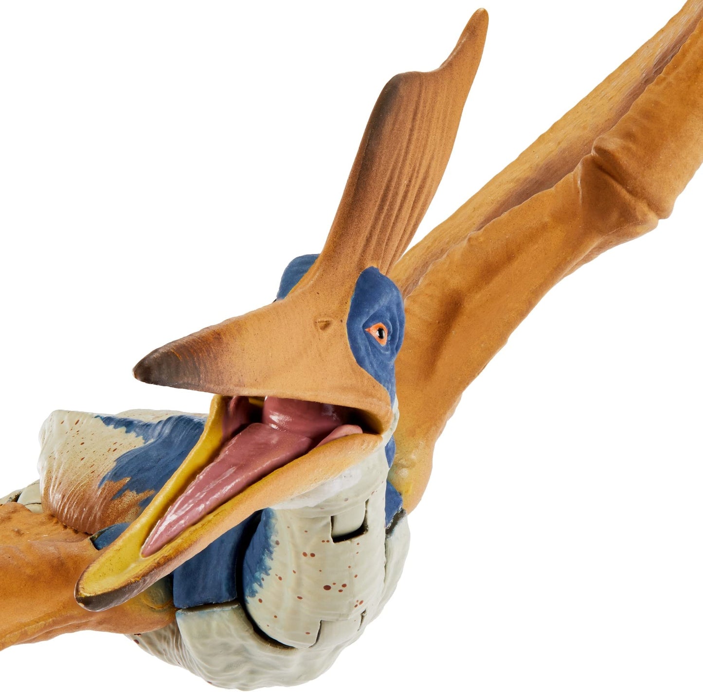 Mattel Jurassic World Hammond Collection Geosternbergia Dinosaur Figure – 14.9-Inch Wingspan, Deluxe Articulation