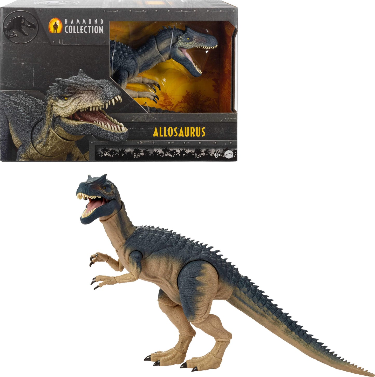 Mattel Jurassic World Hammond Collection Allosaurus Action Figure – 19 Points of Articulation, Glass Eyes