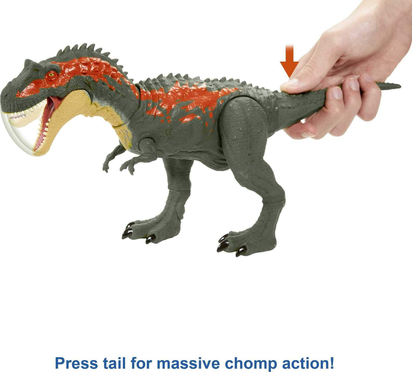 Mattel Jurassic World Massive Biters Albertosaurus Action Figure | Tail-Activated Strike & Chomping Motion