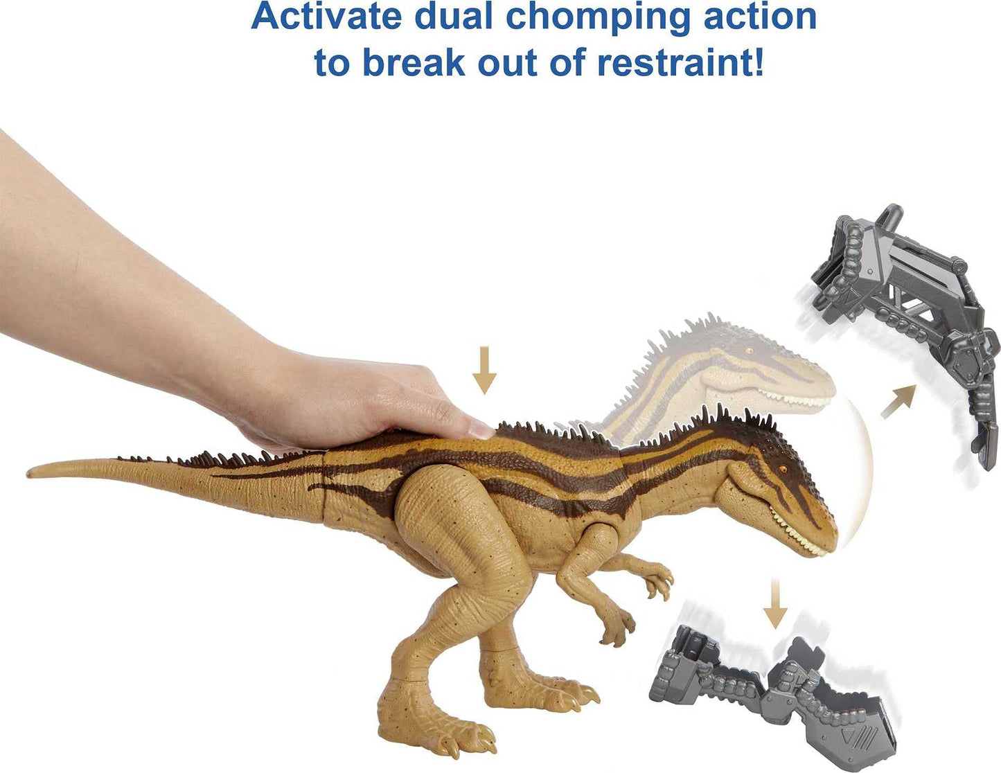 Mattel Jurassic World Mega Destroyers Carcharodontosaurus Brown – Attack Motion & Breakaway Accessory