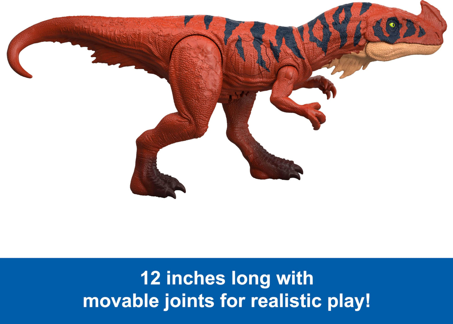 Mattel Jurassic World Wild Roar Afrovenator Action Figure – Attack, Lights, Roar & Digital Play (12.4-Inch)