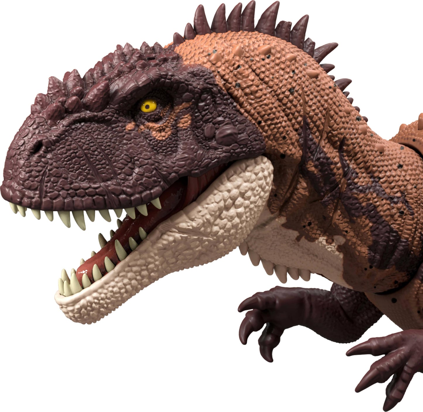 Mattel Jurassic World Wild Roar Dinosaurs – Roar, Attack Action & AR Play (11-Inch Figures)
