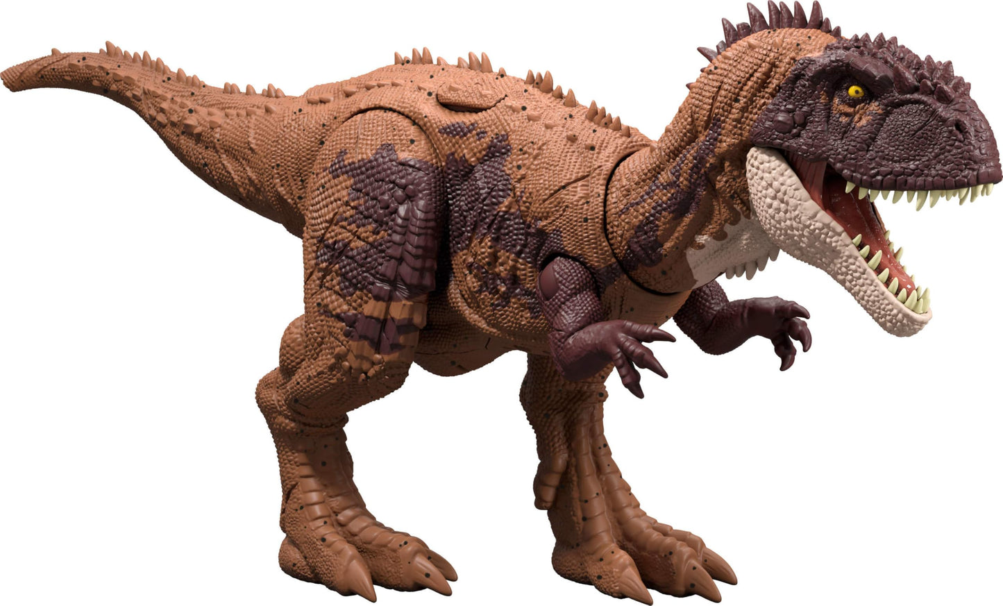 Mattel Jurassic World Wild Roar Dinosaurs – Roar, Attack Action & AR Play (11-Inch Figures)