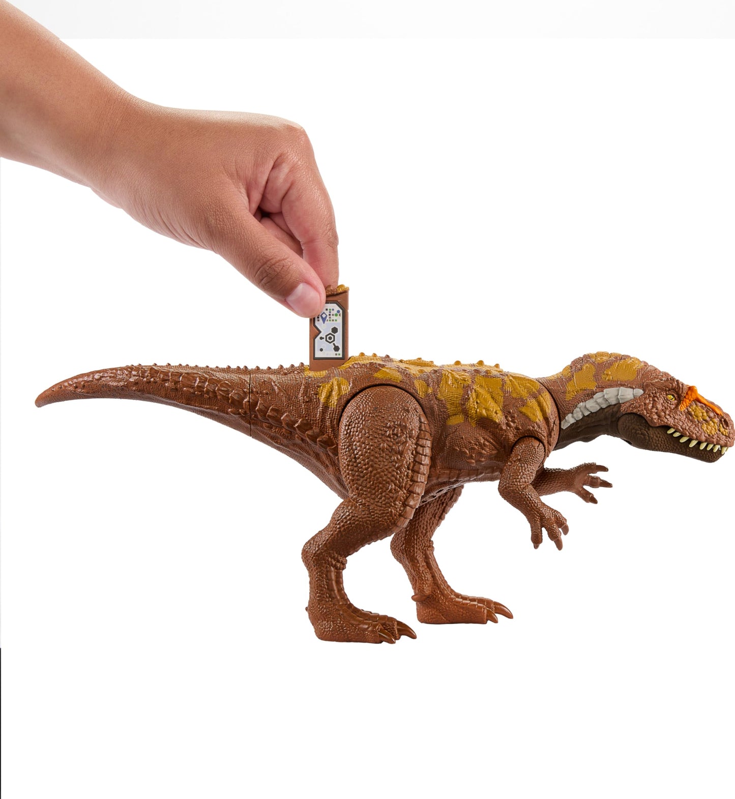 Mattel Jurassic World Wild Roar Megalosaurus: 11-Inch Action Figure with Sound, Spin-Wheel Attack & AR Play
