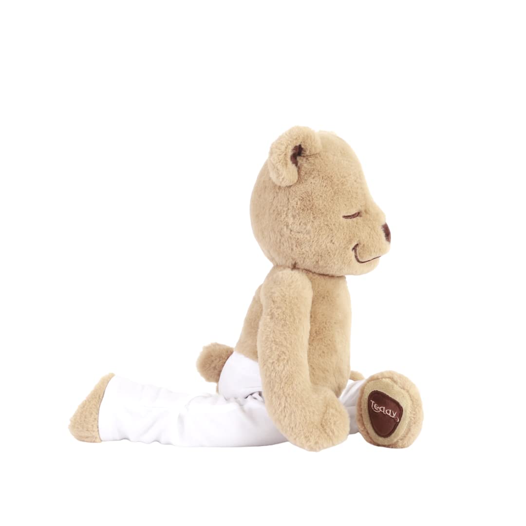 Meddy Teddy The Yoga Bear – Bendable Plush for Kids Yoga & Family Time