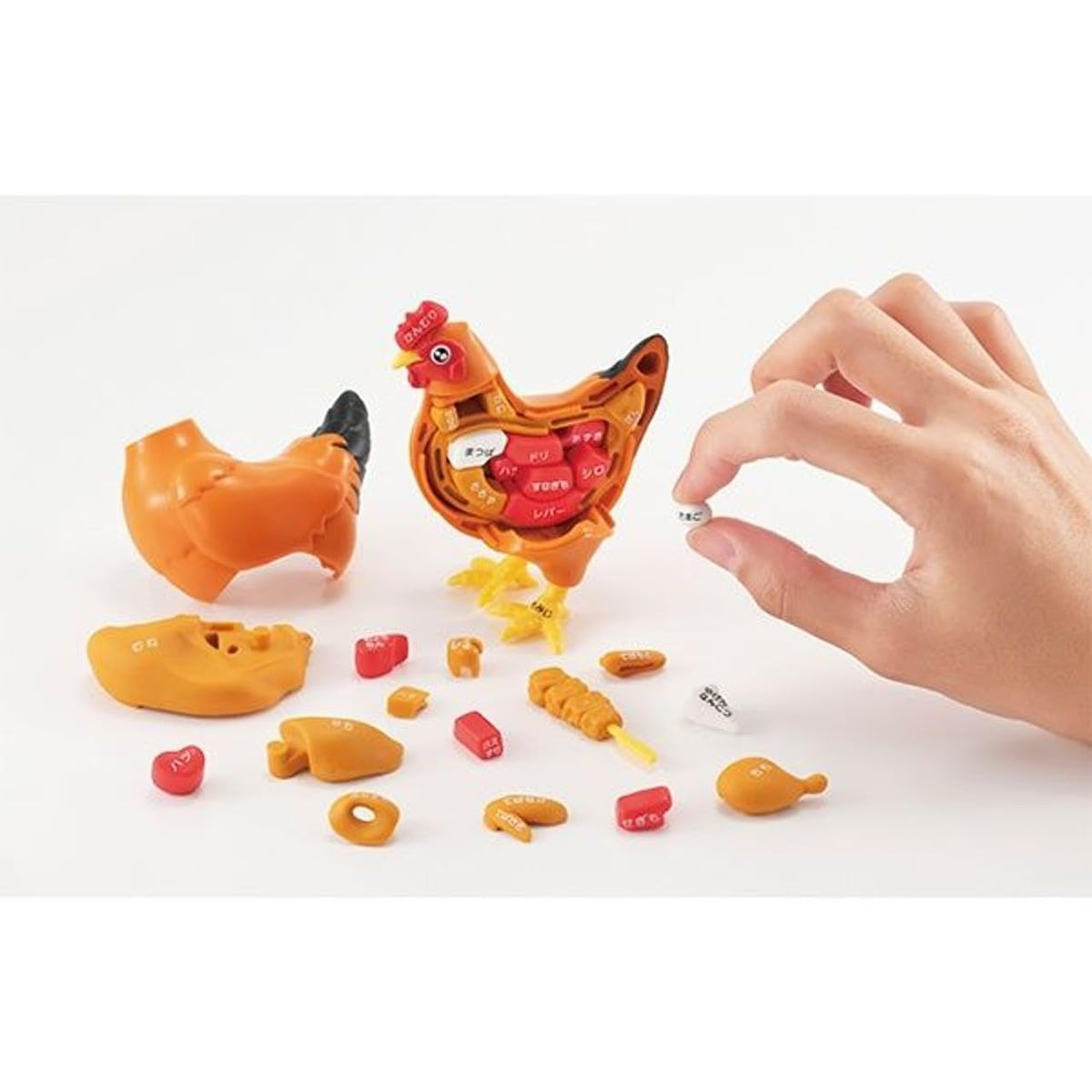 Megahouse Kaitai Chicken Puzzle – 38-Piece Collectible, Officially Licensed
