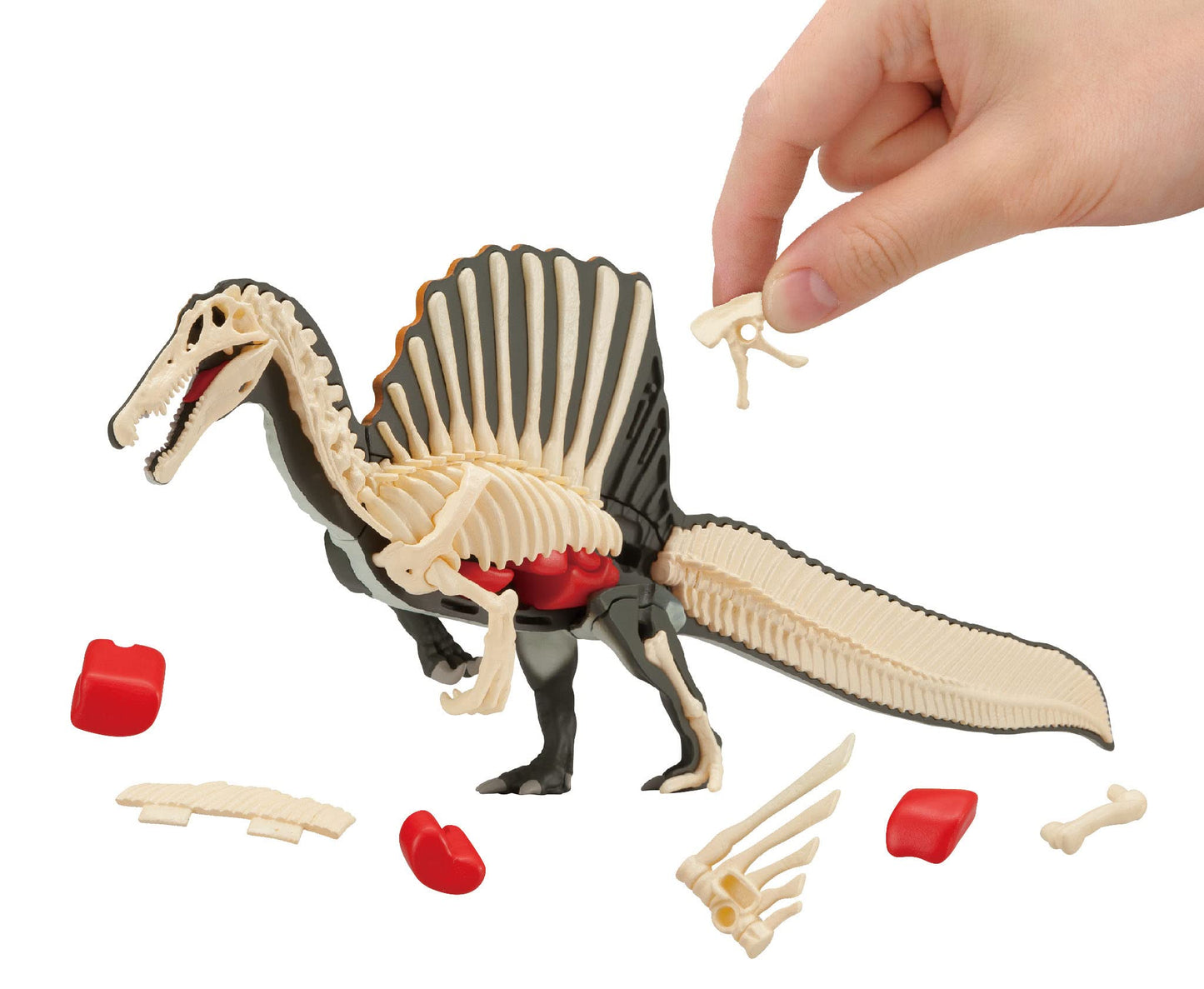 Megahouse Spinosaurus Kaitai Puzzle | Dinosaurs Series – 33 Pieces