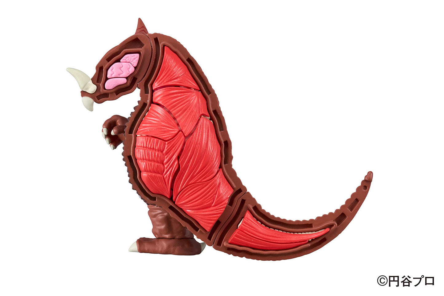 Megahouse Ultraman Gomora Kaitai Puzzle – 40-Piece Skeleton & Muscles Reveal