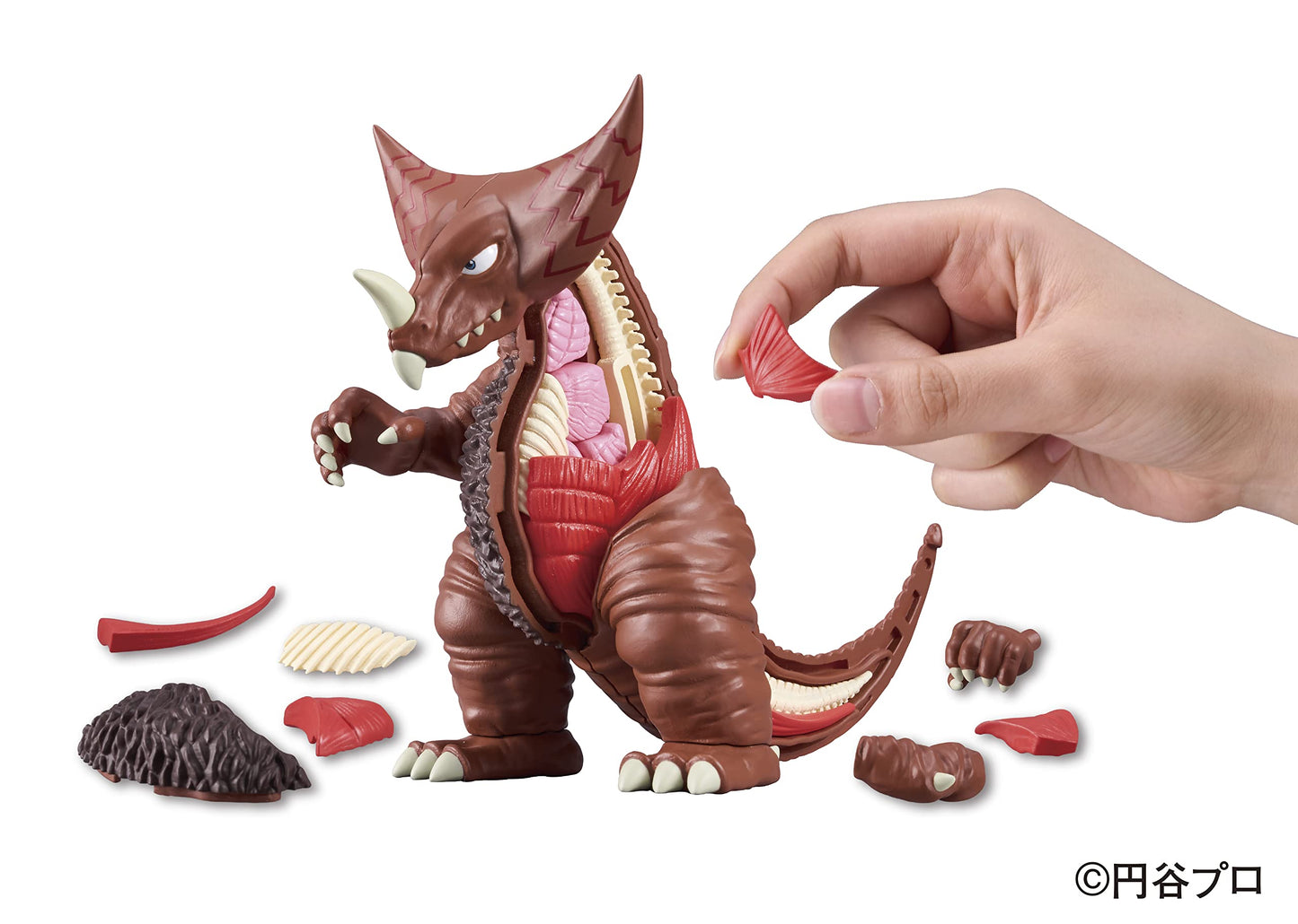 Megahouse Ultraman Gomora Kaitai Puzzle – 40-Piece Skeleton & Muscles Reveal