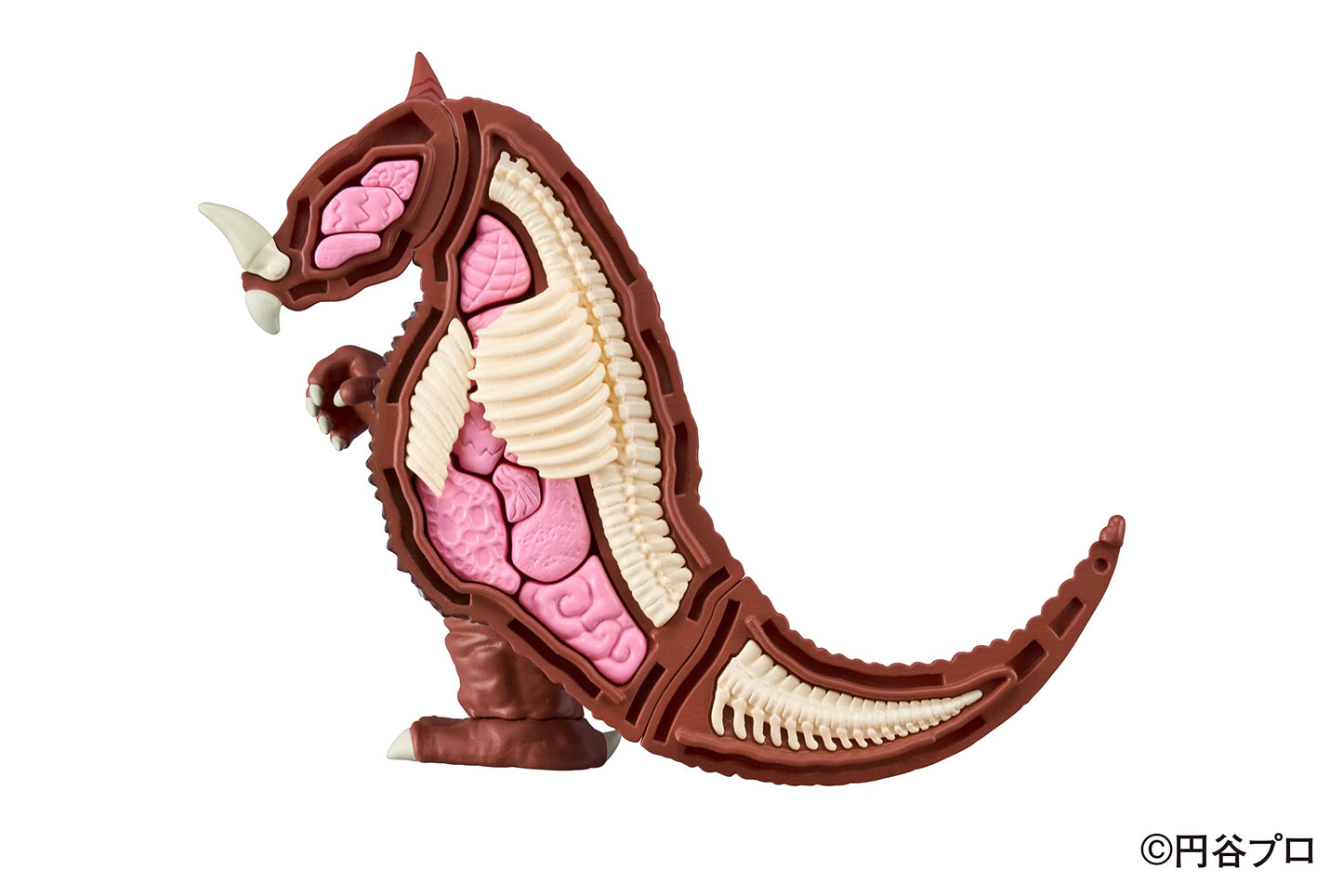 Megahouse Ultraman Gomora Kaitai Puzzle – 40-Piece Skeleton & Muscles Reveal