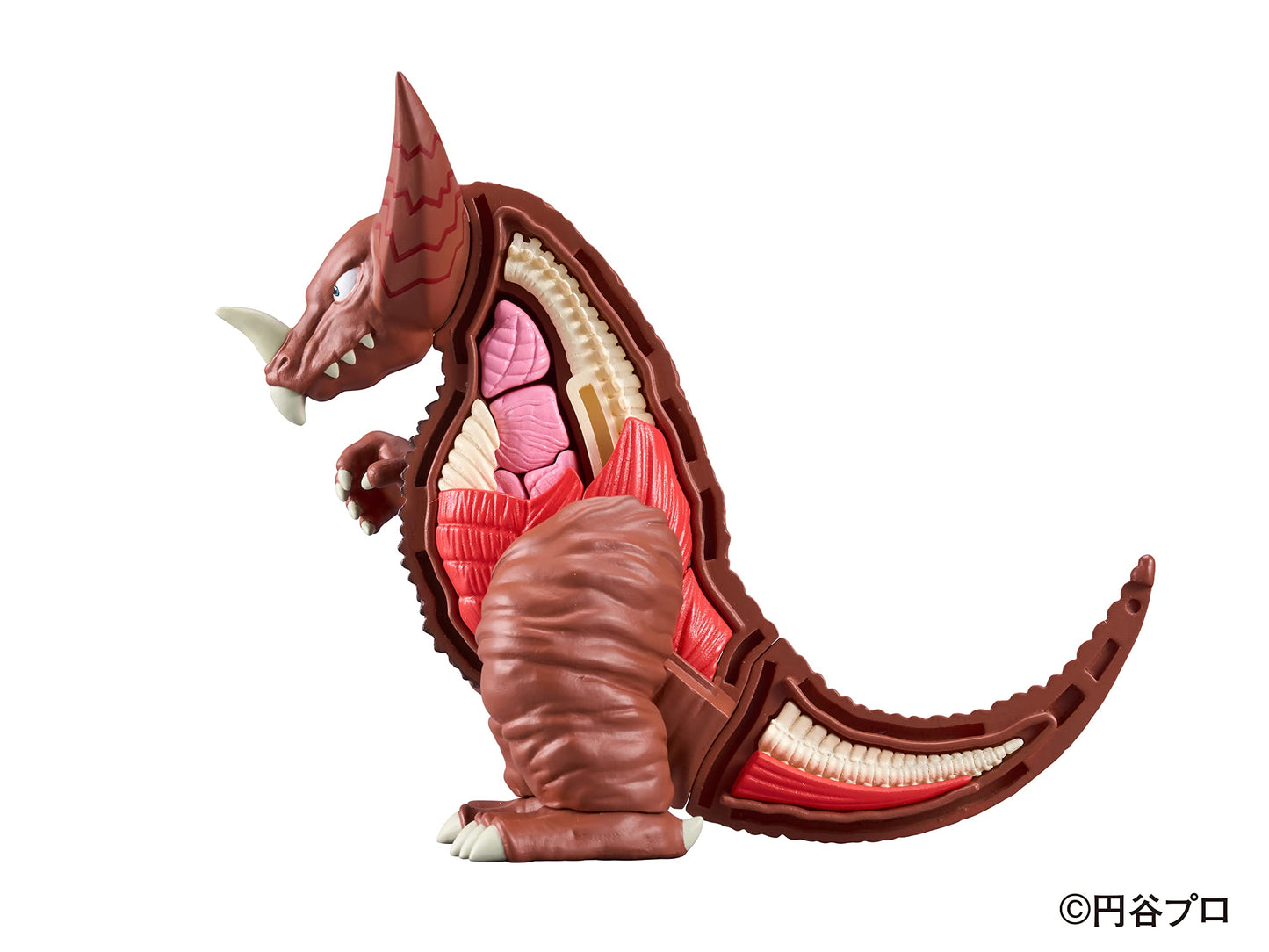 Megahouse Ultraman Gomora Kaitai Puzzle – 40-Piece Skeleton & Muscles Reveal
