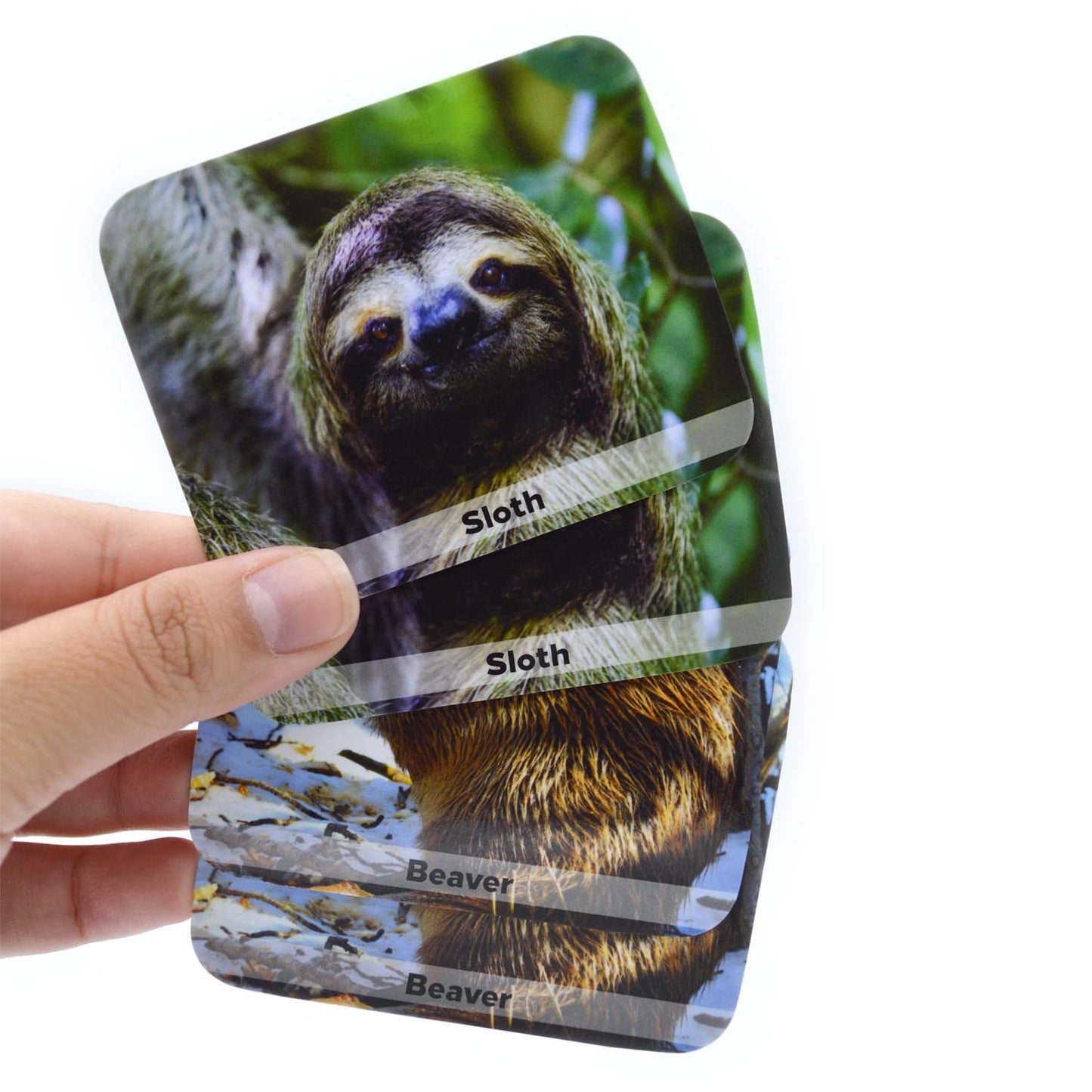 Menique Wild Animals Memory Matching Game – 80 Cards, Real Photos, Educational Booklet