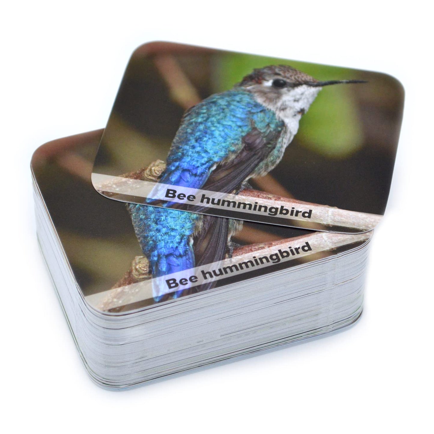 Menique Wild Animals Memory Matching Game – 80 Cards, Real Photos, Educational Booklet