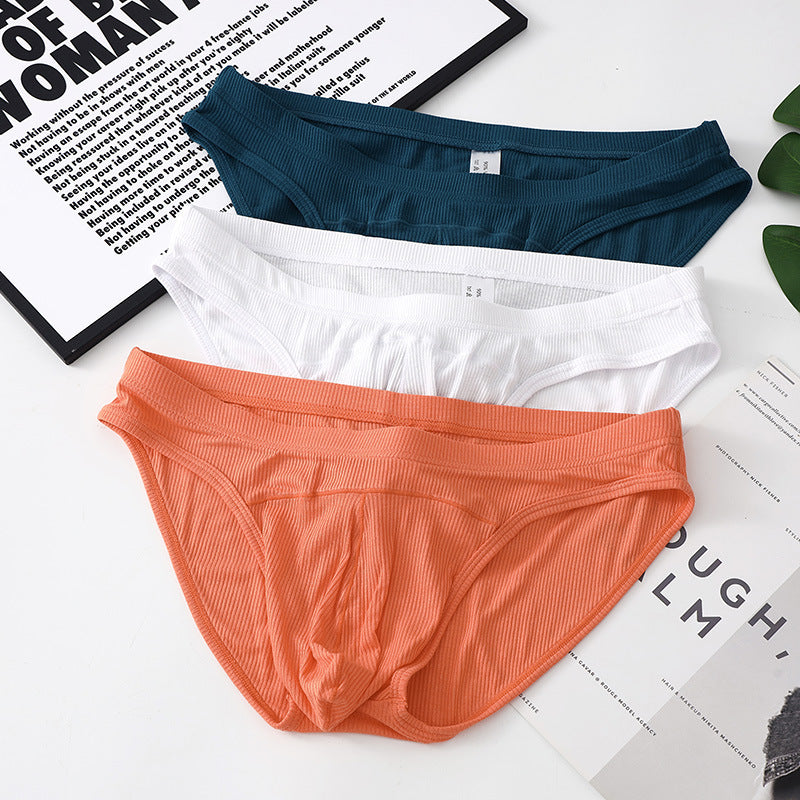 Men's Low Waist Breathable Briefs