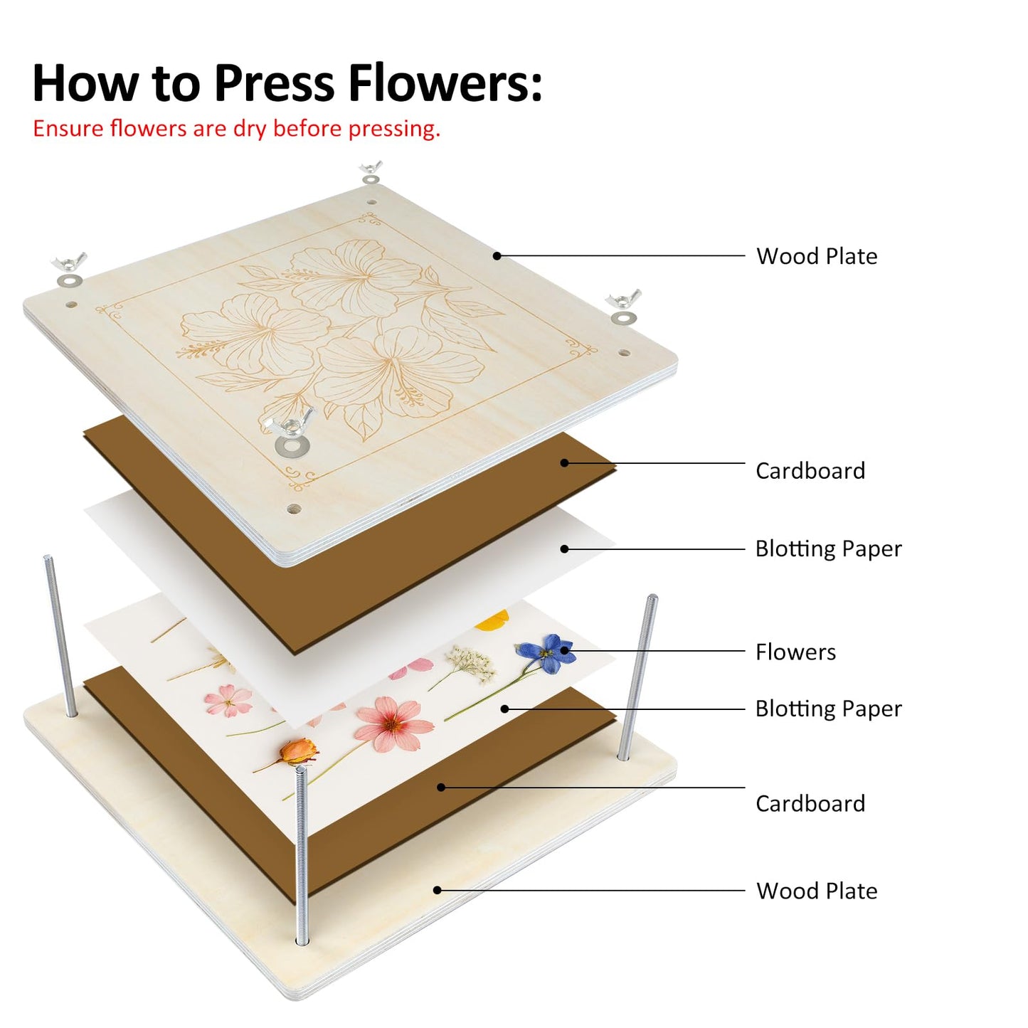 MeRGBWLife Flower Press – 11x11 Inch, 10-Layer Wooden Kit for Pressed Flowers and Crafts