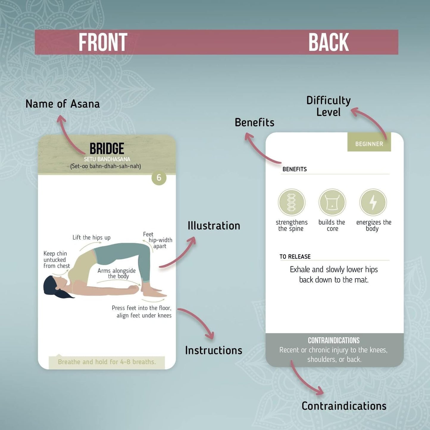Merka Yoga Cards Flashcard Deck – 50 Asanas & Sanskrit Names
