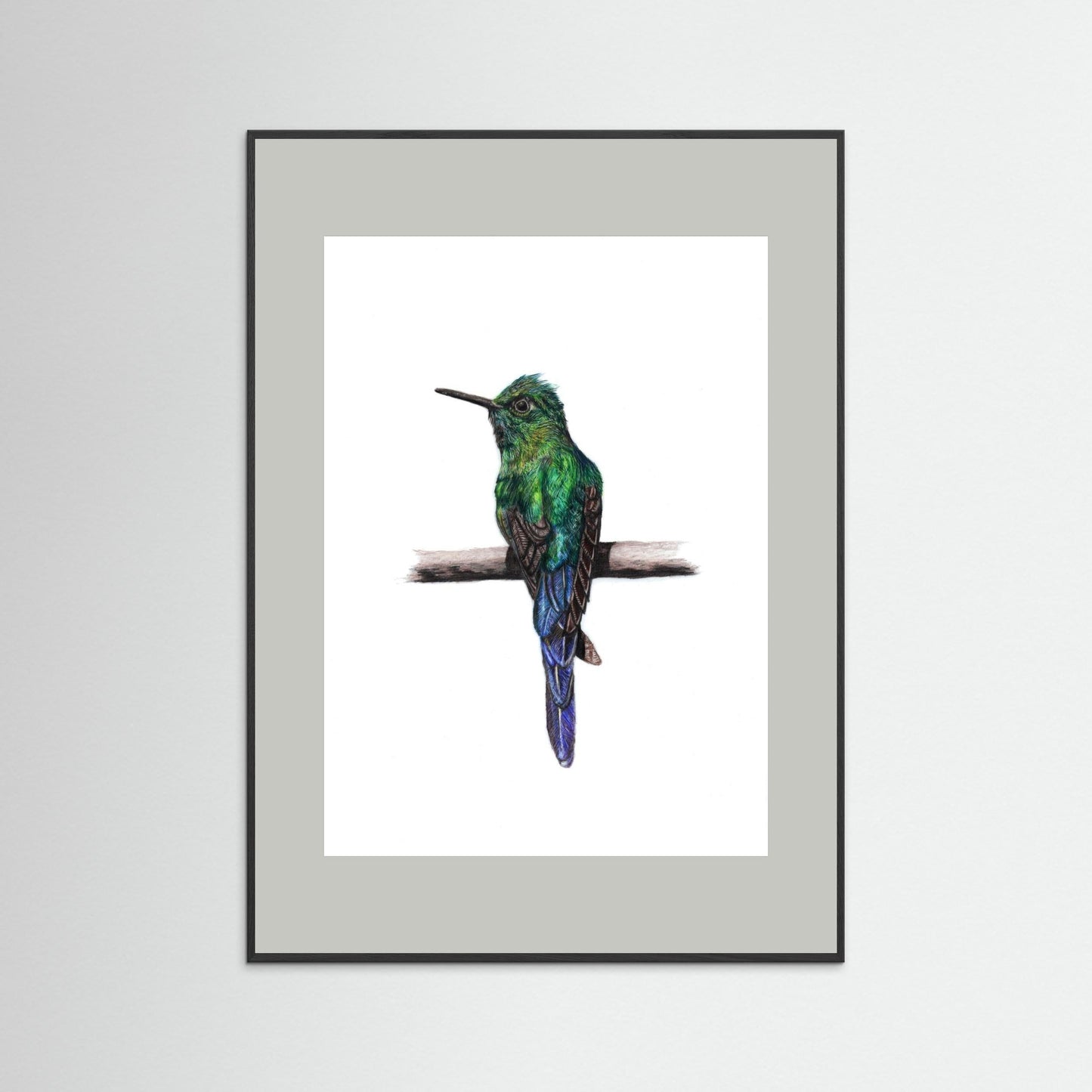 Hummingbird Wall Art Print – Fine Art Wildlife Illustration