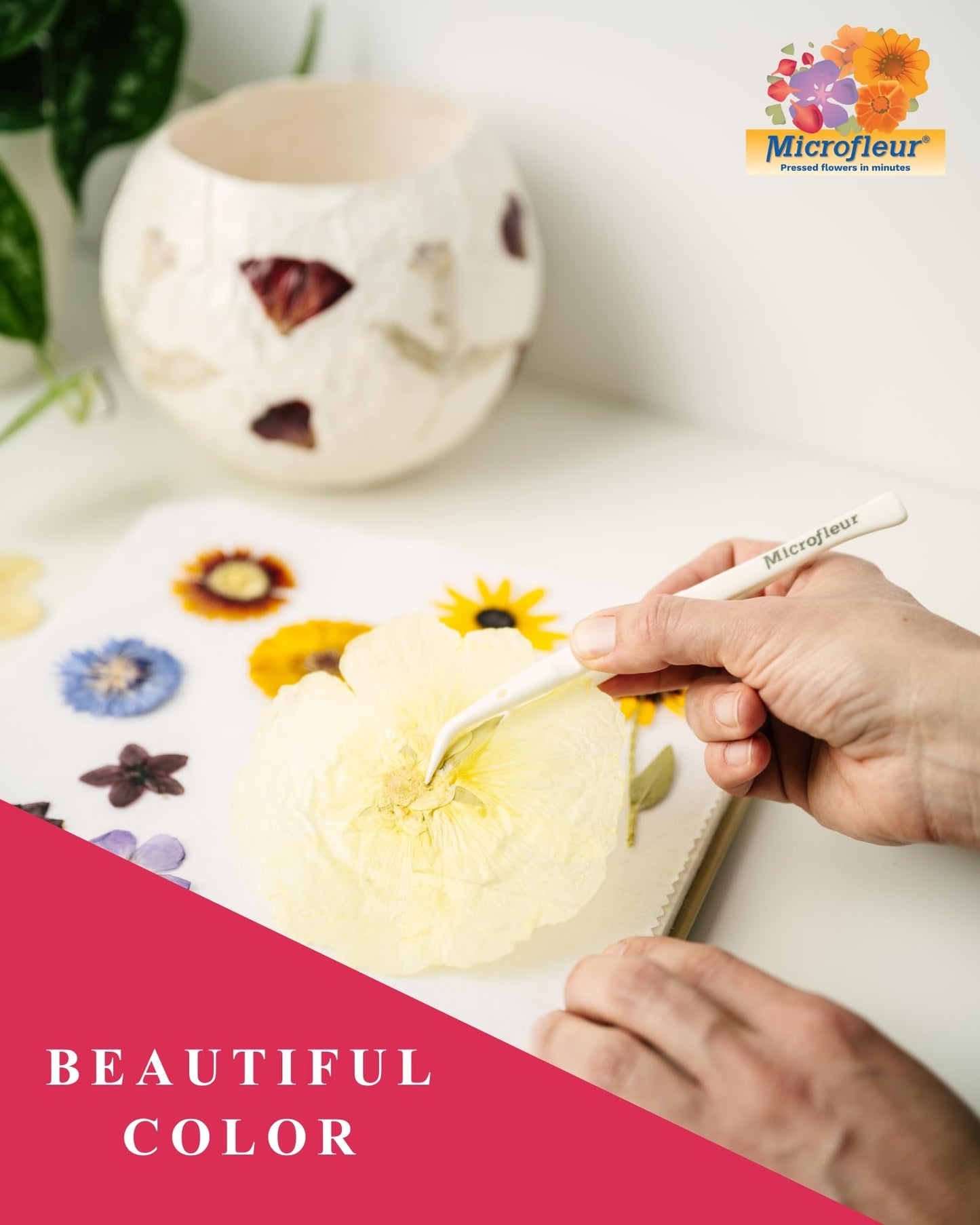 Microfleur Microwave Flower Art Press Kit – Quick Color-Preserving DIY for Kids & Adults