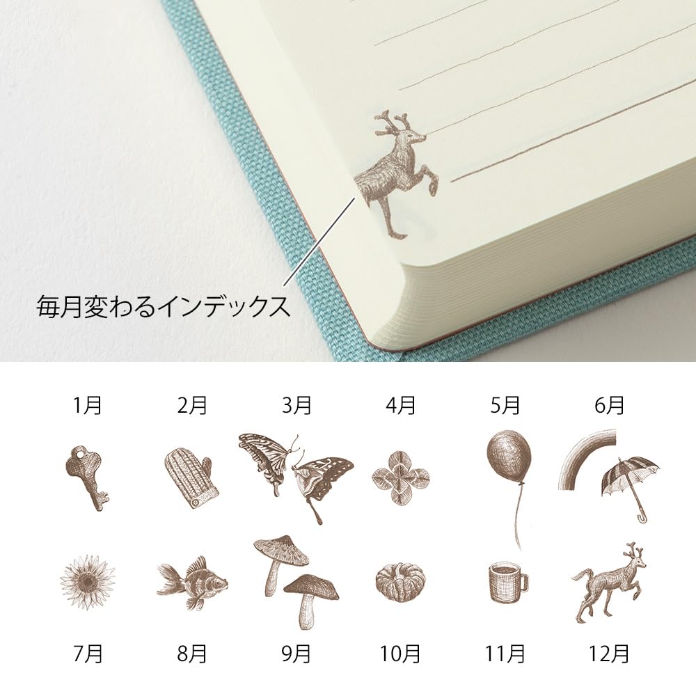 Midori Phil Design Three Years Diary – 3-Year Daily Record with Light Blue Case