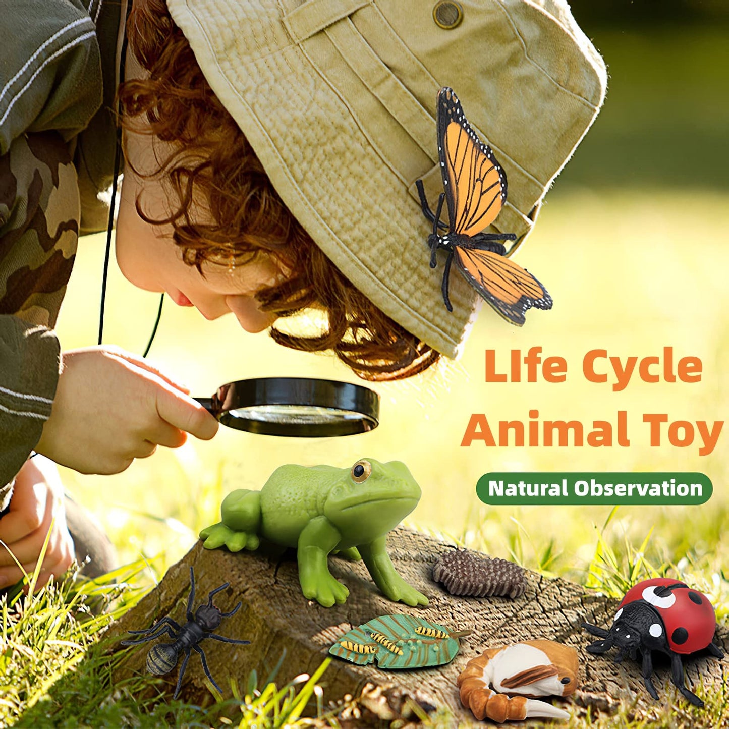 MIKNEKE Frog Life Cycle with Flash Cards – Montessori Animal Matching Toy for Kids
