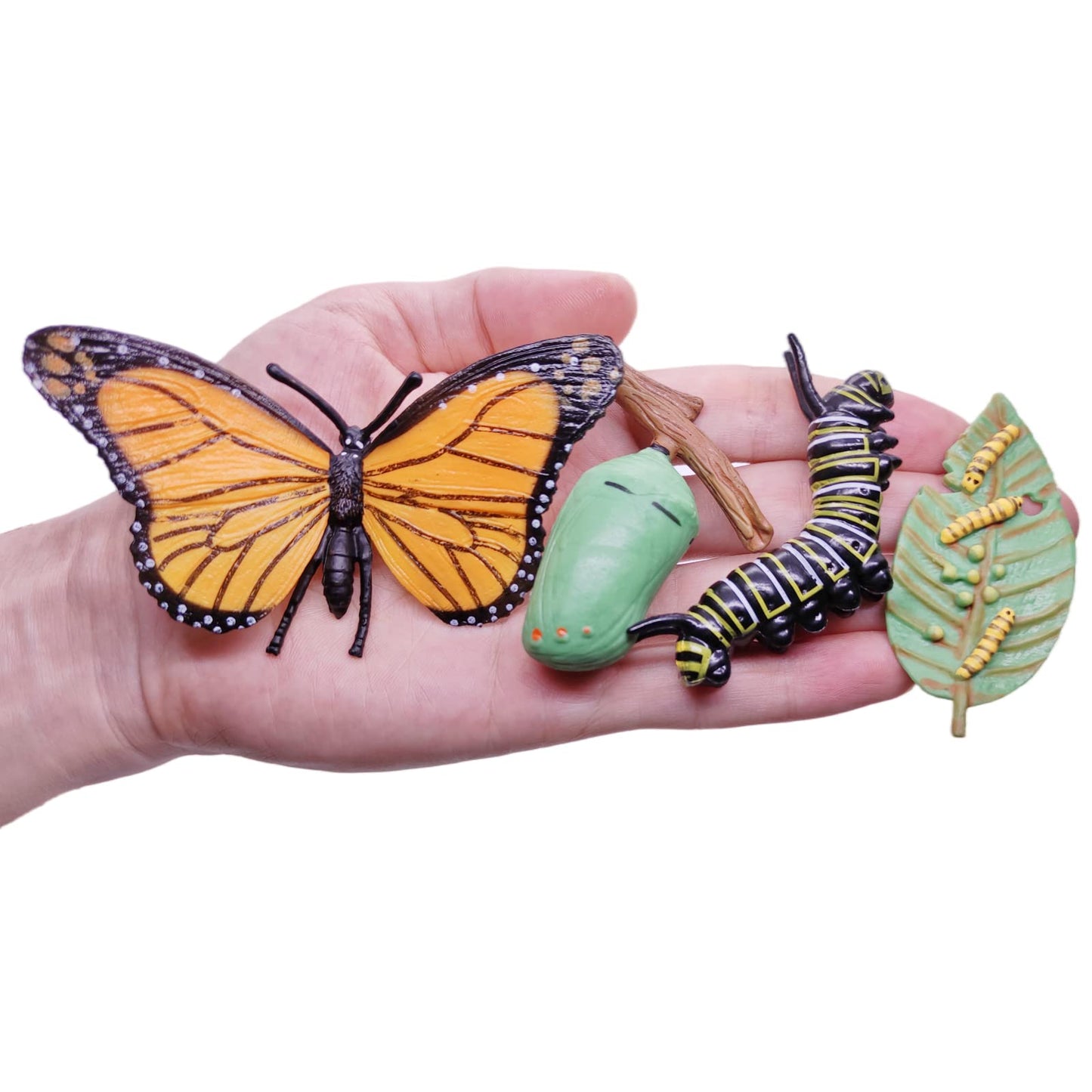 MIKNEKE Montessori Life Cycle Figures with Flash Cards – Butterfly Kit for Kids | Realistic Insect Toys