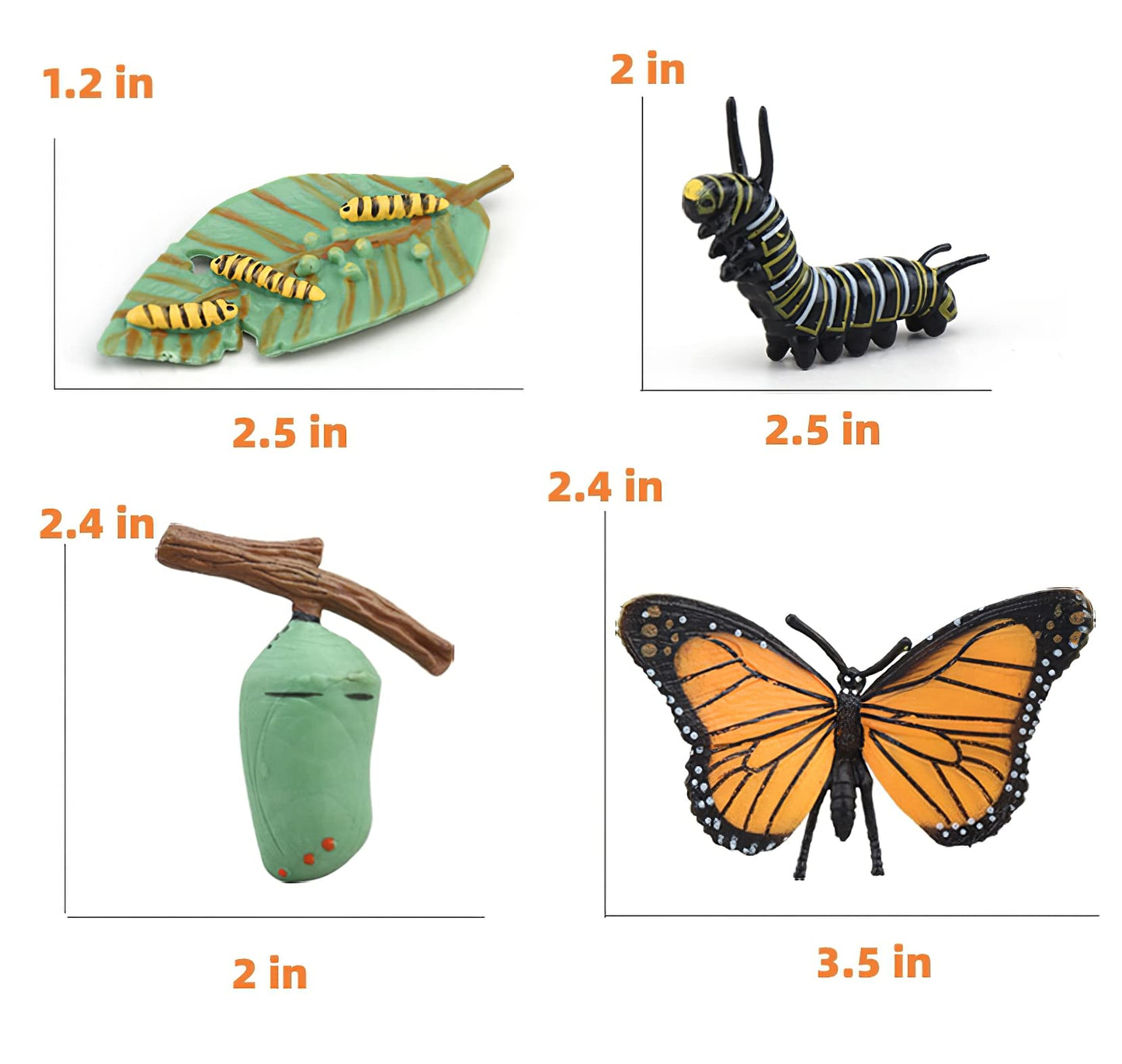 MIKNEKE Montessori Life Cycle Figures with Flash Cards – Butterfly Kit for Kids | Realistic Insect Toys