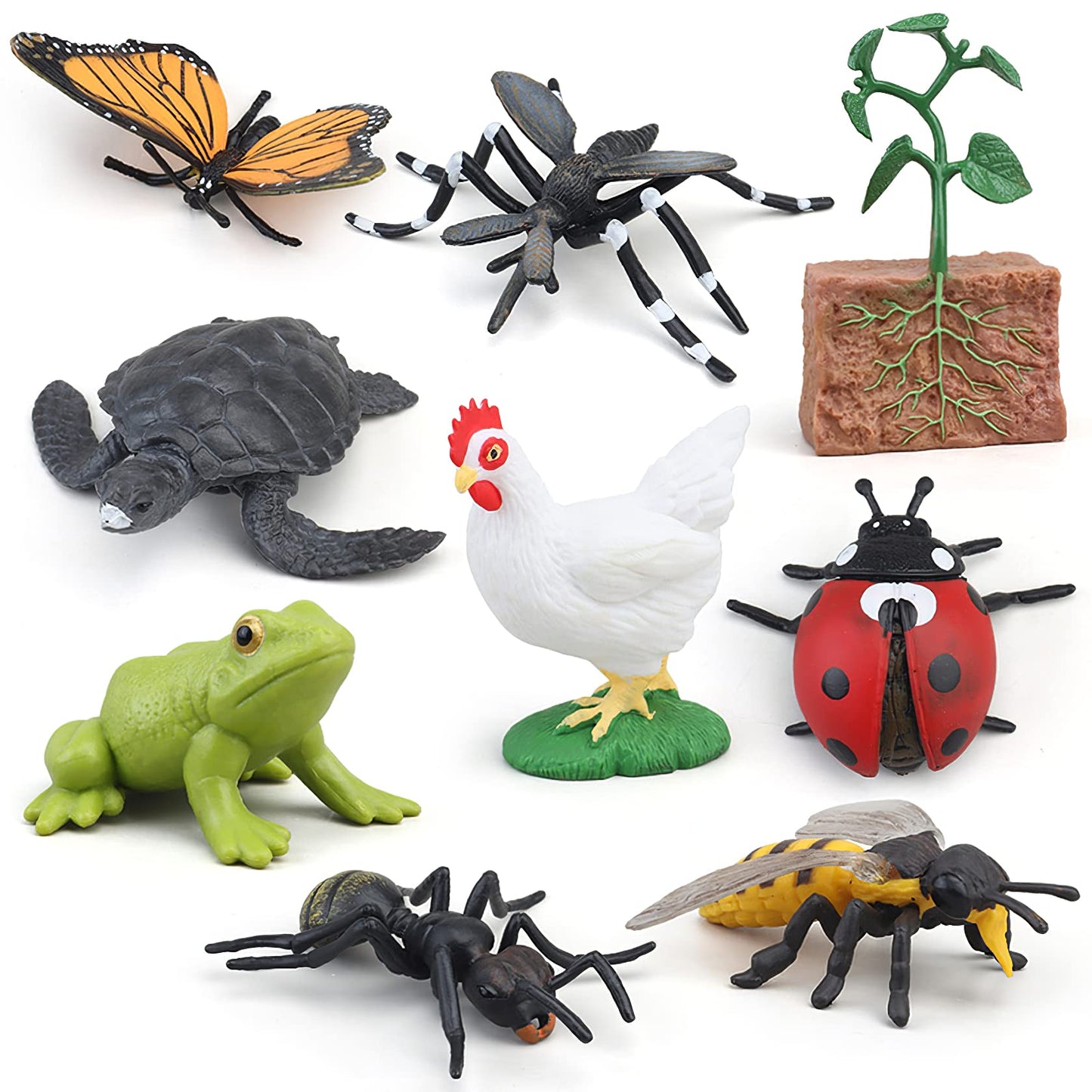 MIKNEKE Montessori Life Cycle Figures with Flash Cards – Butterfly Kit for Kids | Realistic Insect Toys