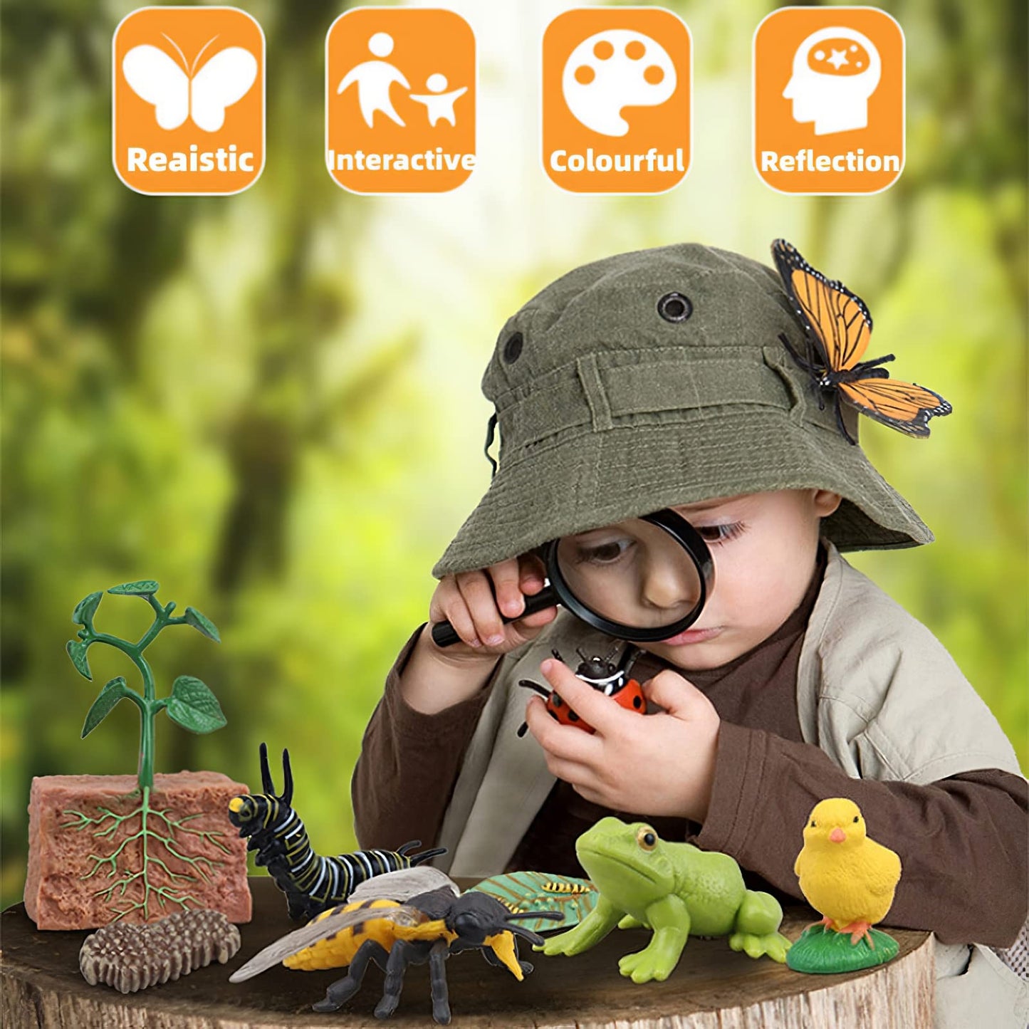 MIKNEKE Montessori Life Cycle Figures with Flash Cards – Butterfly Kit for Kids | Realistic Insect Toys