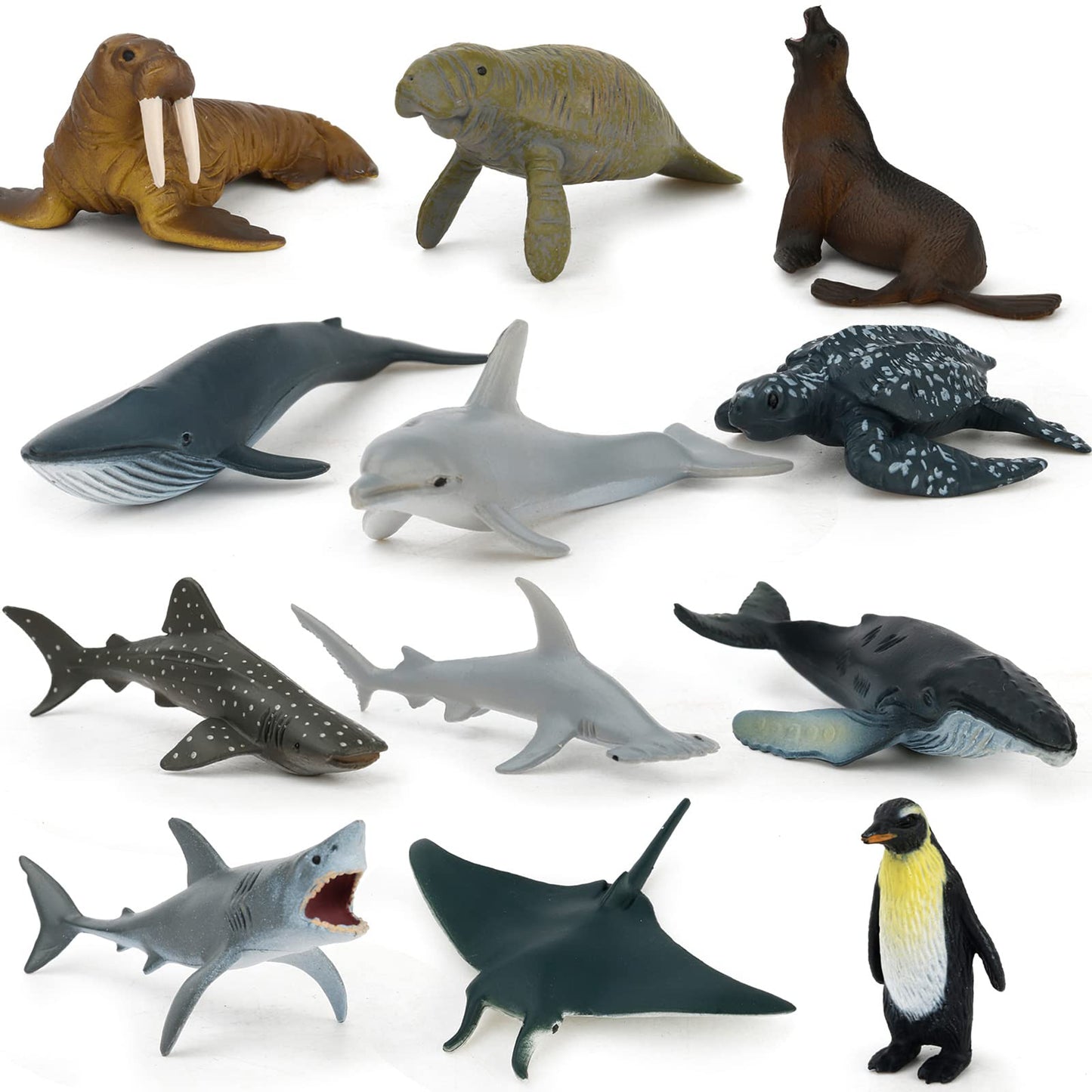 MIKNEKE Montessori Sea Animal Figures with Flash Cards | Educational Marine Toys for Preschool