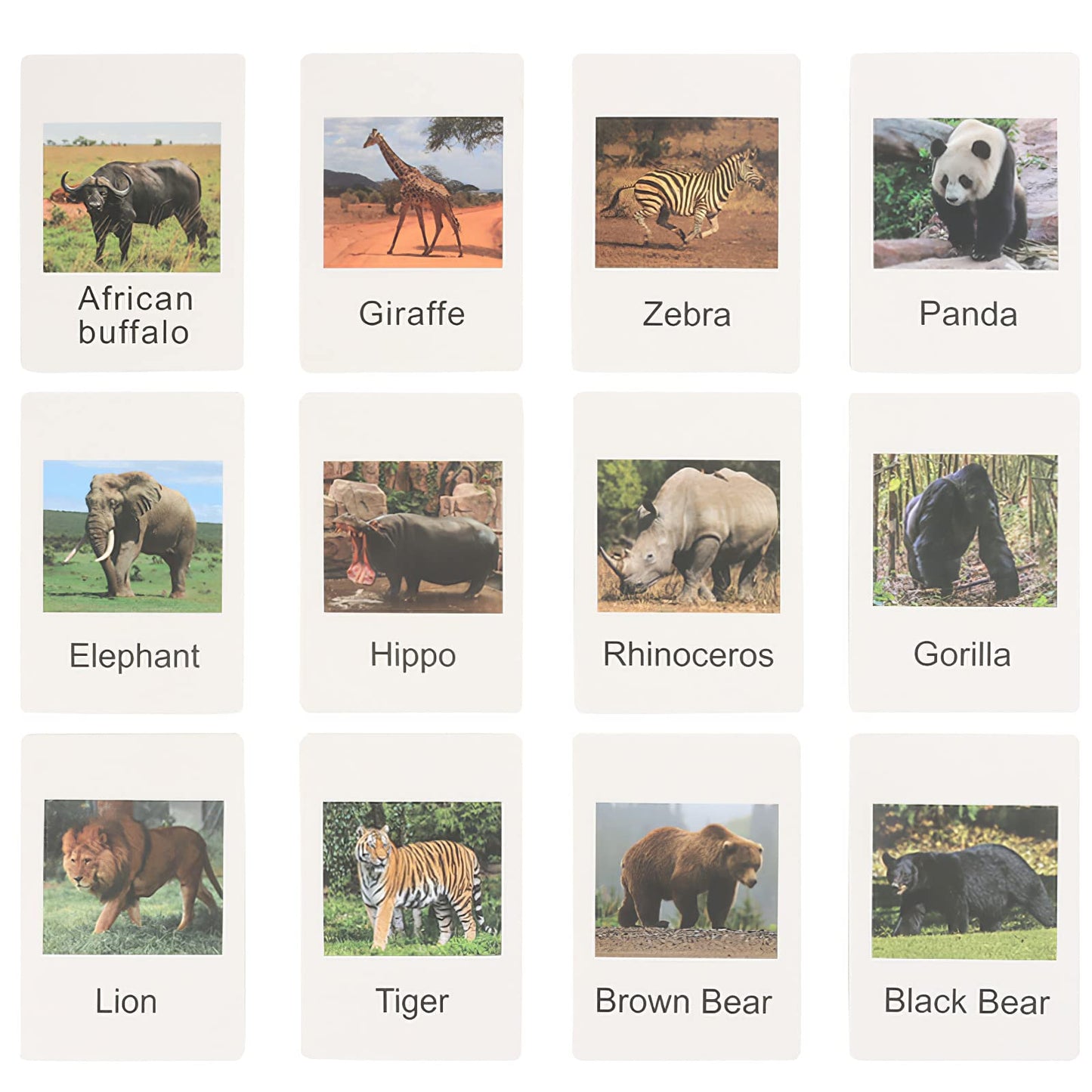 MIKNEKE Montessori Animal Figures with Flash Cards – 12 Realistic Zoo Toys