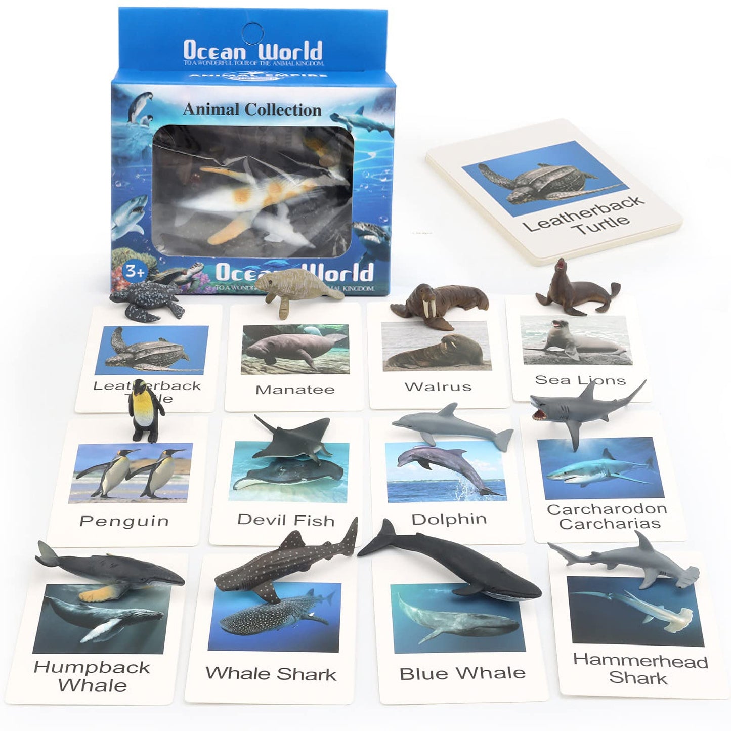 MIKNEKE Montessori Sea Animal Figures with Flash Cards | Educational Marine Toys for Preschool
